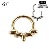 Joyería de Anillo para la Nariz de Aleación de Titanio G23 para Mujeres, Pendientes de Anillo Cerrado Continuo de Estilo Europeo y Americano para Piercing Corporal, Joyería de Anillo para la Nariz al por Mayor
