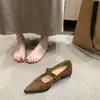 Zapatos Mary Jane de punta estilo francés para mujer, nueva colección otoño 2025, con diseño de una sola tira, perfectos con vestidos, y un tacón grueso.