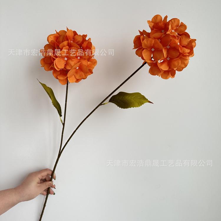 微信图片_2023032116361411_副本