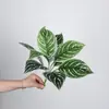 Planta Artificial Folhas de Taro Folhas Listradas Planta Verde Falsa Cenário de Micro Paisagismo Arranjo de Plantas Parede de Plantas Arranjo de Flores de Chão Paisagismo Material de Folha