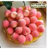 Atacado Pontual Espuma Modelo de Fruta Pequena Conjunto de Vegetais Pequenos Adereços de Decoração de Frutas Falsas Fruta Miniatura Simulada