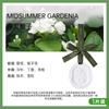 Tabletas de Aromaterapia de Yeso para Coche, Pastillas Aromáticas para Armario de Coche, Fragancia Ligera para Dormitorio y Coche, Fragancia de Larga Duración, Colgantes de Joyería de Alta Gama