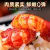 Cauda de Lagostim Picante em Lata Pronta para Comer Cauda de Lagosta com Alho Bolas de Camarão Grandes Lanche Popular Aperitivo de Frutos do Mar para Bebidas