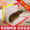 Placa Armadilha para Ratos Adesivo para Ratos Adesivo Forte para Capturar Ratos Placa para Ratos Ferramenta Doméstica para Controle de Roedores Adesivo de Armadilha Grande para Ratos Fábrica