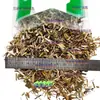 Materiais Medicinais Chineses Nepeta 500g Henan Produtos Frescos Novos Nepeta Selvagem Pó de Nepeta Nepeta de Solo Erva Nepeta Folha Grande Seca