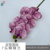 Patrón de modelado 7 cabeza Phalaenopsis sensación de pegamento Phalaenopsis estudio fotográfico accesorios de fotografía flor de simulación ventana hermosa Chen