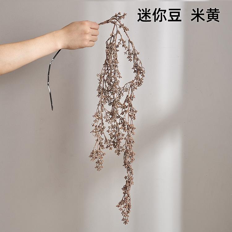 迷你豆 米黄