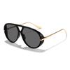 Gafas de Sol Clásicas Doble Puente con Montura Grande Estilo Vintage Rain, Estilo Motociclista, Esenciales para el Uso Diario y Protección Solar
