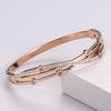Pulsera de Lujo Ligero y Alta Gama, Acero Titanio, Abertura Dorada, No se Desvanece, Pulsera de Moda de Celebridad de Internet, Versátil para Mujeres Nicho de Moda