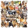 50 pegatinas realistas de animales transparentes para decoración transfronteriza de botellas de agua, equipaje, computadoras, dioramas, agendas y materiales de aprendizaje para niños