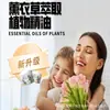 Aromatizador de Ar em Gel com Fragrância de Madeira de Cânfora para Cozinha, Sala de Estar e Quarto para Afastar Baratas Esferas Pretas