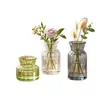 Mini Vaso de Vidro com Listras Verticais Usado Luxo Leve Hidropônico Pequeno Vaso Ornamento para Arranjo de Flores de Mesa Garrafa de Vidro Colorida Transparente