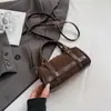 Bolso de Mano Boston Estilo Coreano Estampado de Leopardo Nicho para Mujer Verano 2025 Nuevo Bolso de Hombro Cruzado Retro Bolso Almohada