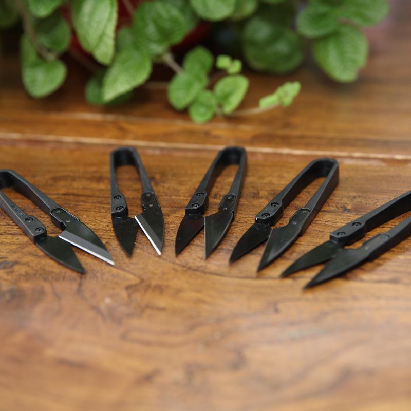 10291355803_2001160281