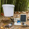 Dispositivo Automático de Alimentação para Frangos, Patos, Gansos, Pombos, Cães e Gatos com Wifi, Sistema de Alimentação e Dispensação Remota Cronometrado e Quantitativo para Criação de Frangos