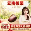 Castaña de Yunnan Seleccionada Cuidadosamente Compra Comercial 1 Jin Fruta Grande / 3 Jin Fruta Grande / 5 Jin Fruta Extra Grande Frutos Secos con Cáscara