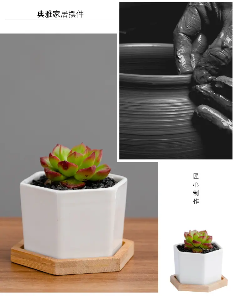 花盆18_02.jpg