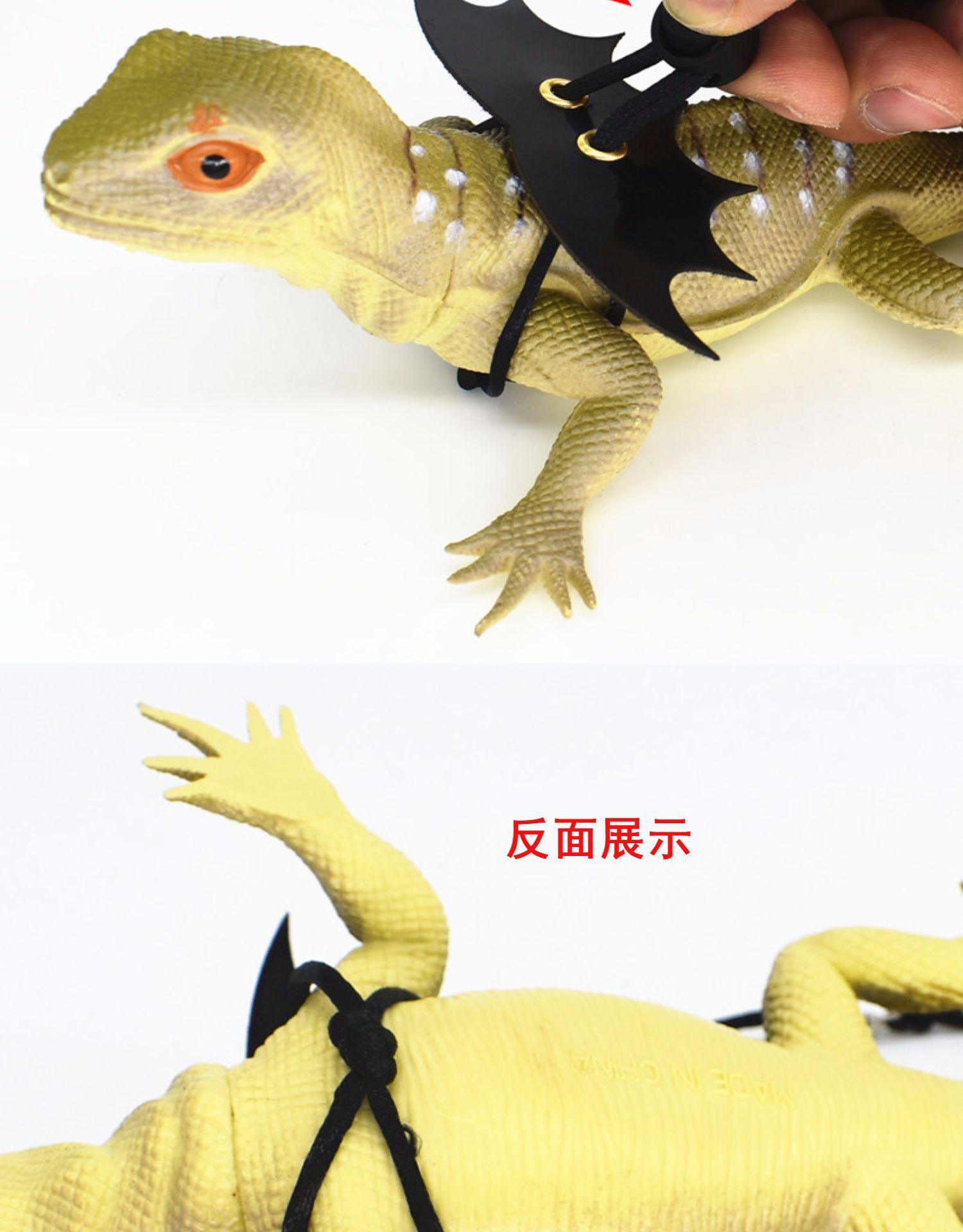 O1CN017GXf2A1SqWiPzSmWe_!!2160