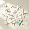 Suministro Directo de Fábrica Accesorios de Resina Estrella de Mar Estilo Mediterráneo Decoraciones para Acuarios Adornos Conchas Creativas Decoración Exquisita