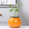 Vaso Ecológico Cerâmico Hidropônico Transfronteiriço Plantas em Vasos Plantas Verdes Recipiente de Decoração para Mesa Cultivado em Água Vidro de Alto Borossilicato