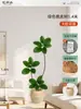 Plantas Verdes Artificiais de Alta Qualidade para Decoração de Sala de Estar, Planta Realista Falsa de Figueira-da-Índia Preta para Decoração de Sala de Transmissão ao Vivo