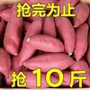 Batatas Frescas, Batatas Amarillas de Huerta, Batatas Aromáticas, Batatas Asadas de Pulpa Amarillo-Rojiza tipo Castaña, Batatas Pequeñas de Pulpa Dulce, Camotes, Recogidos por Uno Mismo