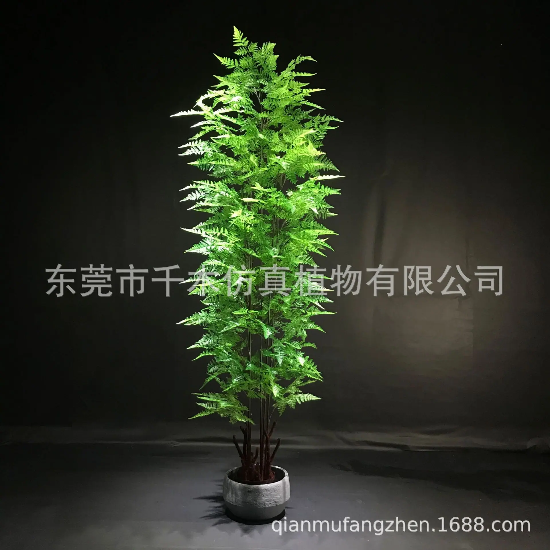 微信图片_20201204204319