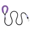 Correa para Perro de Paseo al Aire Libre, Estética de Alto Nivel Color Macarrón Dopamina, Cuerda Gruesa de Nailon Grado Escalada, Con Gancho para Bolsita de Excremento, Agarre de Espuma Cómodo, 1.5m/2m Opcional para Todas las Razas