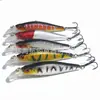 Isca Artificial Luya Isca Biónica Gancho Minolure 8cm/7.9g