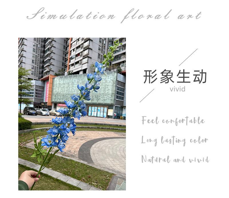 聚美-肯尼亚大飞燕草-详情_02.jpg
