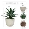 Planta en Maceta Artificial Mini Transfronteriza Hecha a Medida Adornos de Escritorio Bonsái Suculento de Simulación Flor Artificial Planta Verde Pulpa Suculenta Planta en Maceta