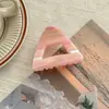 Pinza Triangular Simple para el Cabello Estilo Coreano Etiqueta Dorada Ácido Acético Clip para el Cabello Personalizado de Alta Gama Accesorio para el Cabello Adorno para la Cabeza