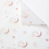 Papel de Envoltura de Flores Diosa de la Luna Brillante Papel Liso Coreano Translúcido DIY Impermeable Bolsa de Regalo Papel para Flores Florería Arte Floral