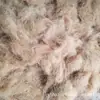 Fibra de Coco, Fibra de Palma de Coco, Malla de Coco, Fibra de Palma Blanca, Malla de Fibra de Palma de Coco, Malla de Coco de Palma de Montaña, Malla Cf, Material Ecológico