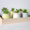 Macetas de Cerámica, Macetas para Plantas Verdes, Adornos de Decoración para Escritorio y Hogar, Bonsáis Creativos Hechos a Mano, Macetas de Cerámica Creativas