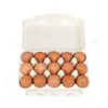 15 piezas de caja de embalaje de cartón para huevos a prueba de golpes caja de pulpa blanca para huevos de gallina huevo de pato huevo de ganso soporte moldeado de pulpa
