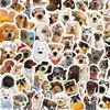 64 Pegatinas de Dibujos Animados de Cachorros de Celebridades de Internet Decoración de Animales Funda de Teléfono Celular Maleta Pegatinas para Portátil Manual de Mayorista