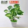 Planta Artificial Planta Verde Maceta Florero Caja de Flores Decoración Hojas Falsas Ramo Pequeño de 7 Ramas Planta para Pared Flores Artificiales Materiales de Paisajismo