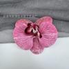 Cabeça única 3D Phalaenopsis Simulação Estilo Europeu Borboleta Flor Grampo de Cabelo Grampo de Cabelo Acessórios para o Cabelo DIY Cocar Clipe de Pato Clipe Lateral