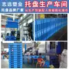Paleta de Plástico Plana Engrosada de Nueve Patas Plataforma de Almacén Logística Almohadilla a Prueba de Humedad Plataforma Carretilla Elevadora Paleta Plástica Plana