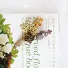 Broche de Flor Eterna de Graduación, Ramo Pequeño de Flores Secas, Exquisito Recuerdo, Mini Flores DIY