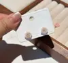 Aretes de Aguja de Plata con Flor Rosa Rosa de California para Mujer 2025 Nuevo Estilo Aretes Elegantes Diseño Nicho de Lujo Ligero