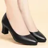 Piel suave suela suave modelo Qipao pasarela tacones altos mujer 2026 otoño nuevo tacón grueso azafata estar mucho tiempo sin cansarse zapatos de trabajo