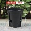 Vasos de Plástico Atacado para Suculentas, Vasos Altos Transparentes para Controlar Raízes, Vasos para Amarílis e Orquídeas Phalaenopsis, Vasos Autoirrigáveis