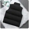 Estilo Nuevo Otoño e Invierno Chaleco sin Mangas de Moda con Cuello Alto Chaleco Cálido de Moda para Pareja Chaleco Juvenil Mismo Estilo para Hombres y Mujeres
