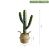 Cactus Falso Simulado Planta Verde en Maceta Florero Decorativo Adornos Pared de Fotos Fondo Simple Planta del Desierto Bonsái
