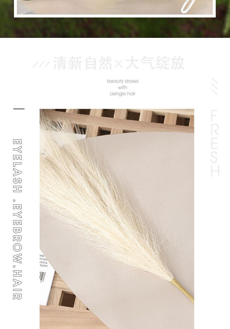 详情_02.jpg