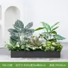 [Serie Y80] Decoración de Partición de Planta Verde Simulada Macetero Maceta Valla Paisajística de Plástico Biónico Diseño