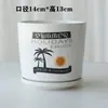 Maceta de Cerámica Tamaño Grande Oferta Especial Liquidación Interior Escritorio Balcón Suculenta Maceta Pequeña Clorofito Helecho Espárrago Maceta Simple Blanca
