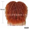 Peruca Transfronteiriça Feminina Africana Lagarta Cabelo Curto Cacheado Afro Fofo Natural Trançado Fibra Química de Alta Temperatura Capacete 14 pol
